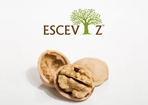 esceviz-sosyal-medya-yonetimi