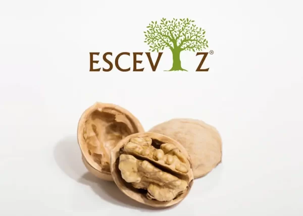 esceviz-sosyal-medya-yonetimi