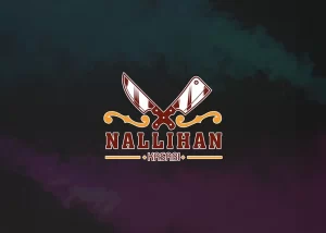 nallihan-eticaret-sitesi-2